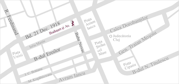 Buduşan, Berindean & Associates Law Firm