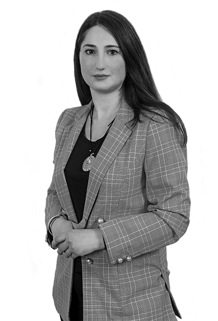 Mihaela Cristea Lawyer